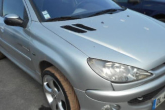 Porte arriere gauche PEUGEOT 206