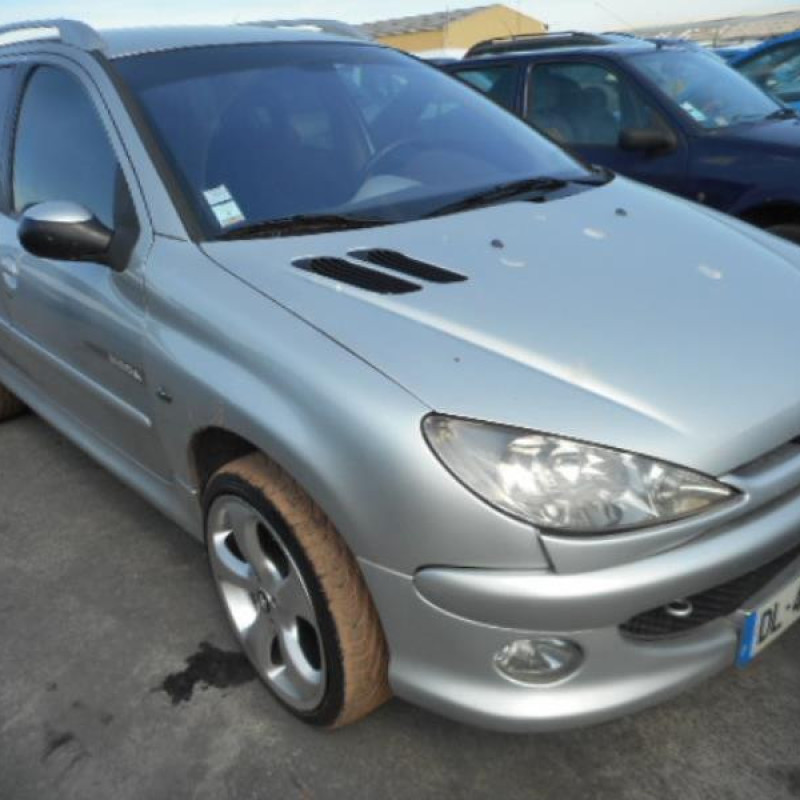 Porte arriere gauche PEUGEOT 206 Photo n°5