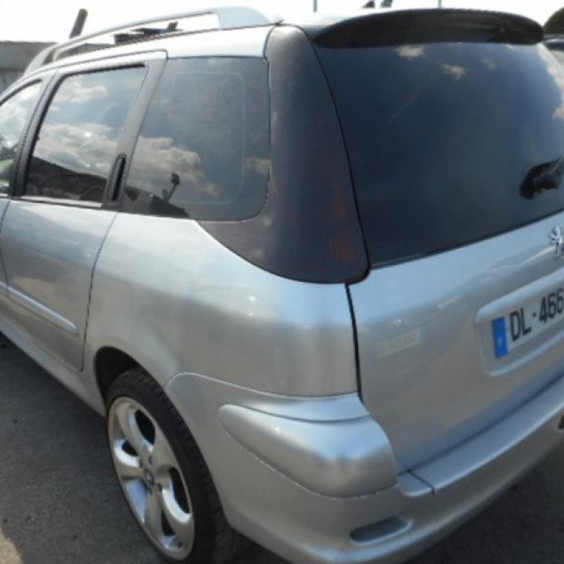 Porte arriere gauche PEUGEOT 206 Photo n°7