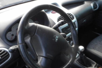 Porte arriere gauche PEUGEOT 206