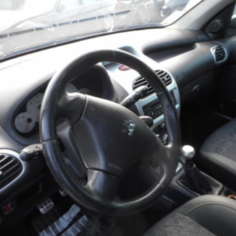 Porte arriere gauche PEUGEOT 206 Photo n°8