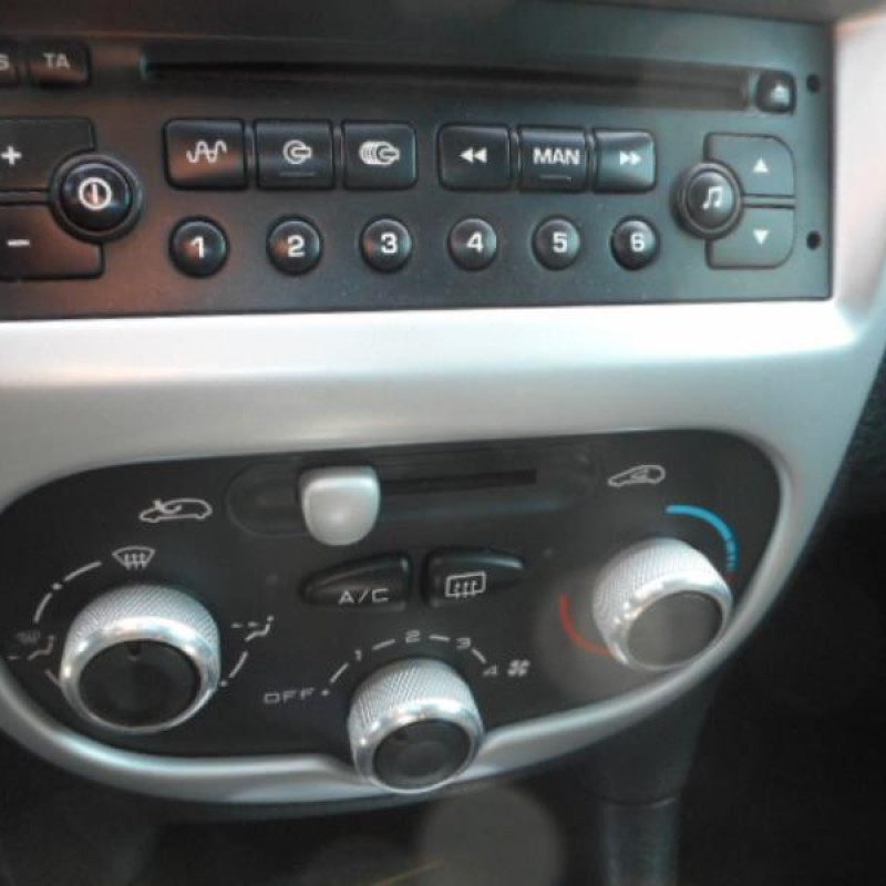 Porte arriere gauche PEUGEOT 206 Photo n°9