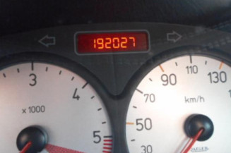 Porte arriere gauche PEUGEOT 206