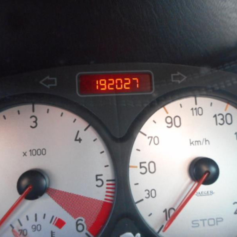 Porte arriere gauche PEUGEOT 206 Photo n°10