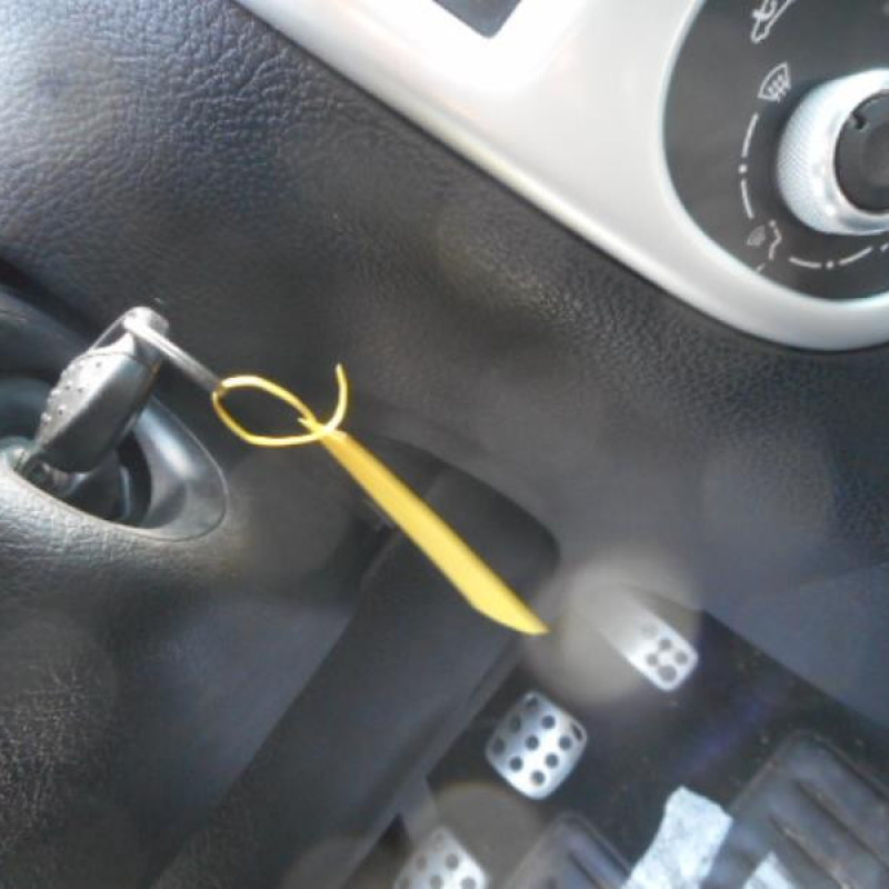 Porte arriere gauche PEUGEOT 206 Photo n°11