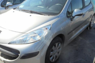 Aile avant gauche PEUGEOT 207