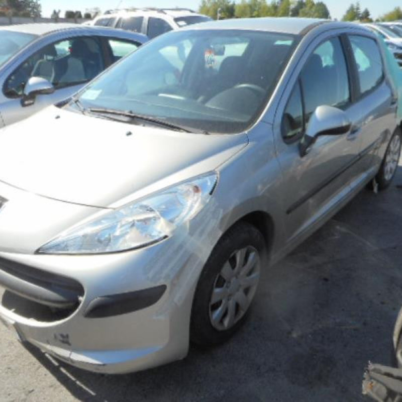 Aile avant gauche PEUGEOT 207 Photo n°2