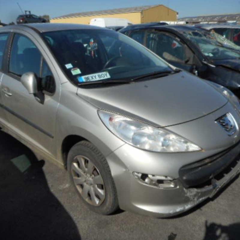 Aile avant gauche PEUGEOT 207 Photo n°3
