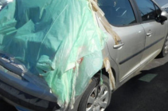 Aile avant gauche PEUGEOT 207