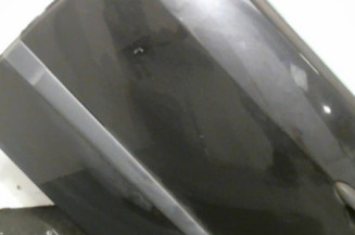 Porte arriere gauche RENAULT MODUS