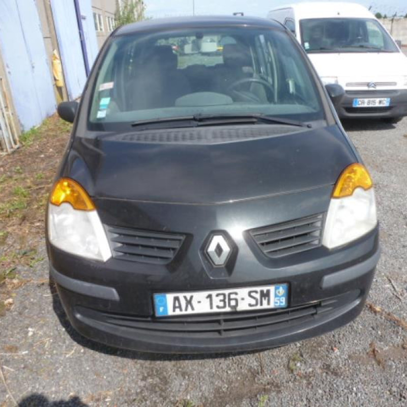 Porte arriere gauche RENAULT MODUS Photo n°4
