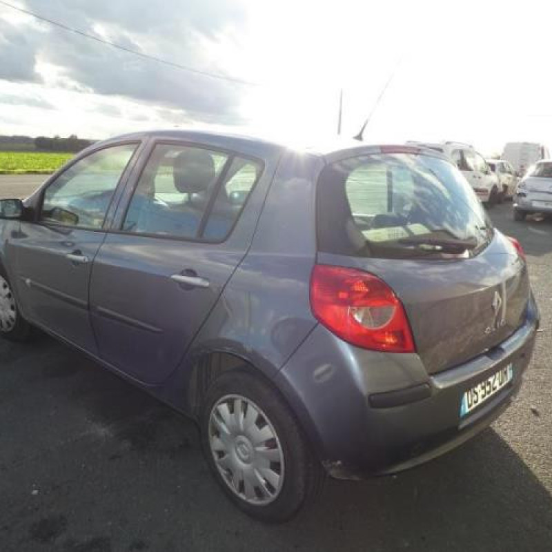 Porte arriere droit RENAULT CLIO 3 Photo n°6