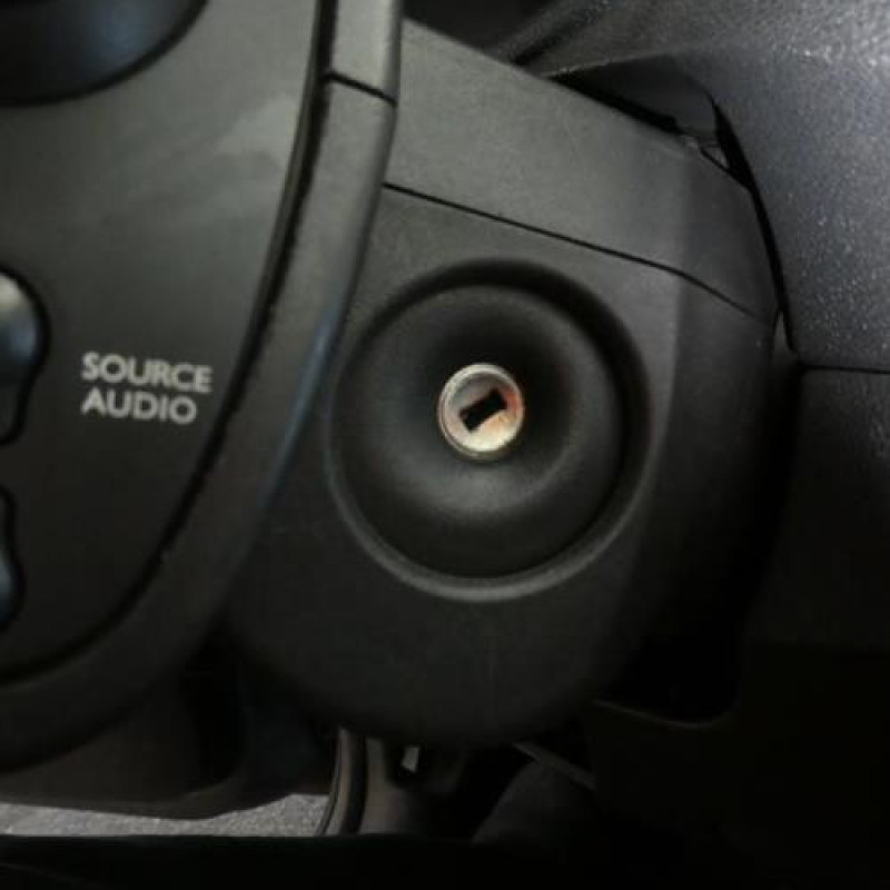 Porte arriere droit RENAULT CLIO 3 Photo n°7