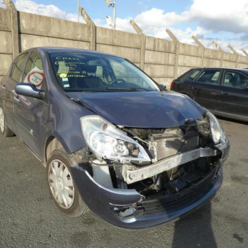 Porte arriere droit RENAULT CLIO 3 Photo n°8