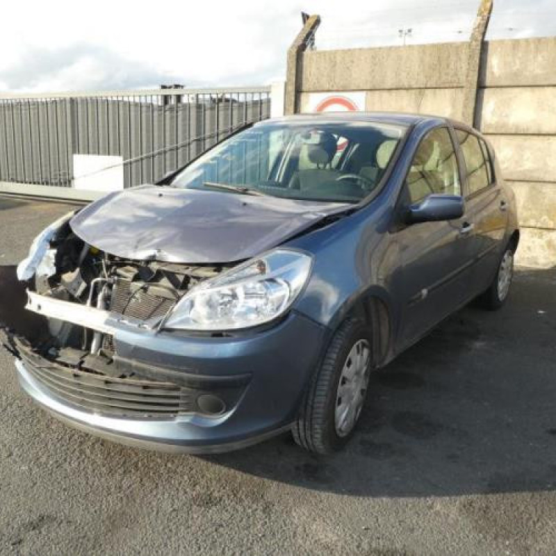 Porte arriere droit RENAULT CLIO 3 Photo n°9