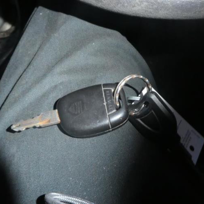 Porte arriere gauche RENAULT CLIO 2 Photo n°8