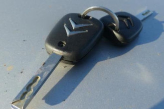 Porte arriere gauche CITROEN C3 1