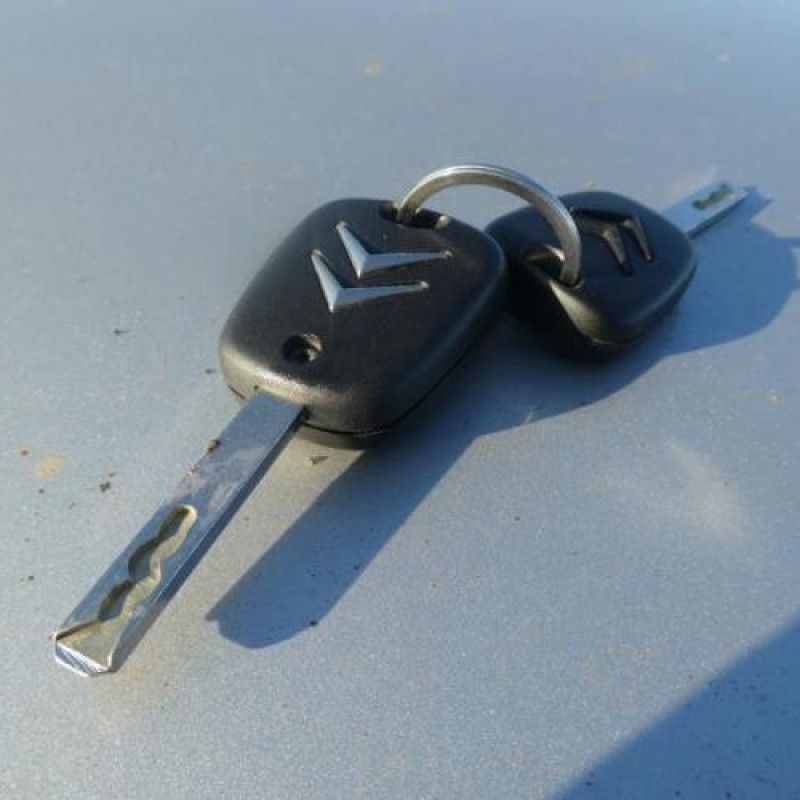 Porte arriere gauche CITROEN C3 1 Photo n°5