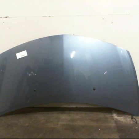 Capot RENAULT CLIO 3