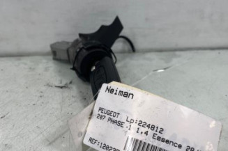 Neiman PEUGEOT 207 Photo n°1