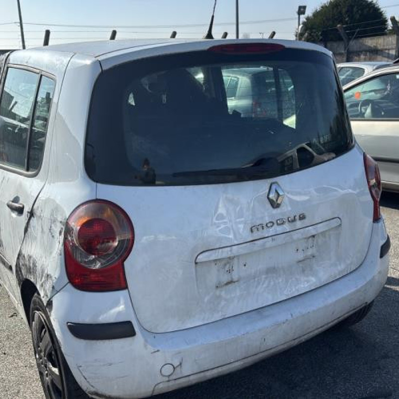 Baguette de porte arriere droite RENAULT MODUS Photo n°6