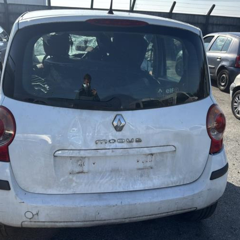 Baguette de porte arriere droite RENAULT MODUS Photo n°7