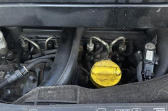 Baguette de porte arriere droite RENAULT MODUS