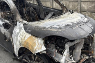 Baguette de porte arriere gauche  FIAT 500X