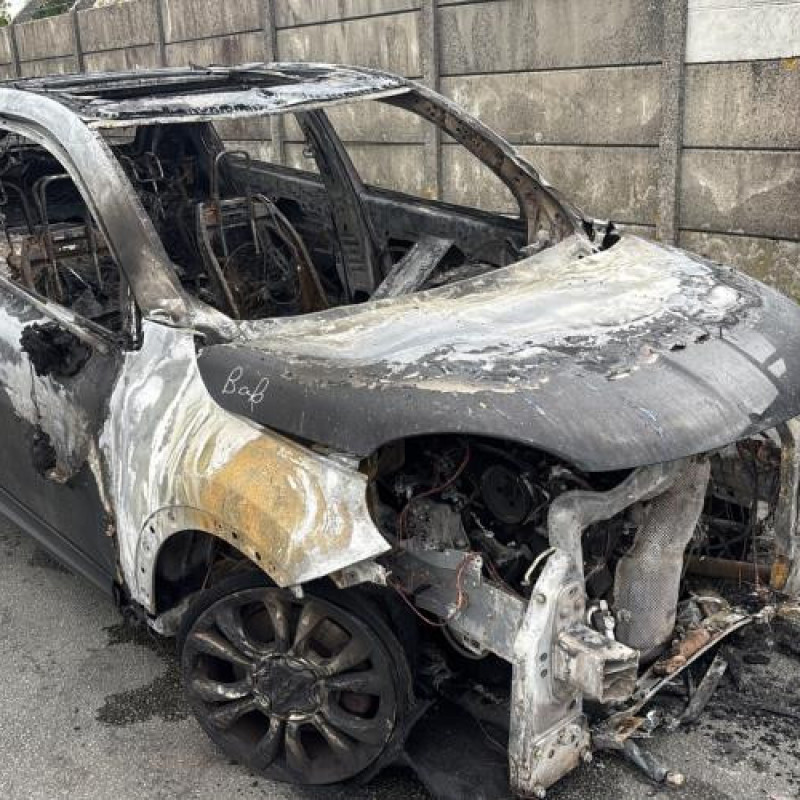 Baguette de porte arriere gauche  FIAT 500X Photo n°6