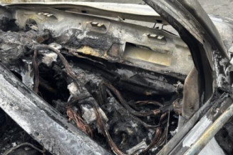 Baguette de porte arriere gauche  FIAT 500X