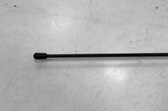 Antenne DACIA SANDERO 1