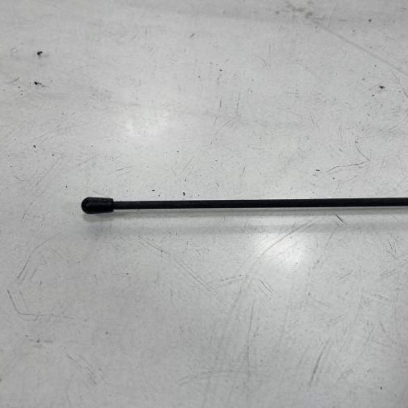 Antenne DACIA SANDERO 1 Photo n°5