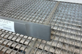 Baguette de porte arriere droite RENAULT SCENIC 2