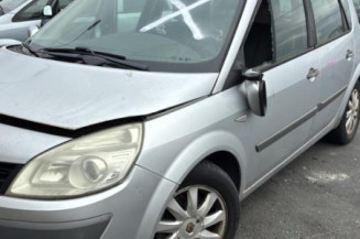 Baguette de porte arriere droite RENAULT SCENIC 2