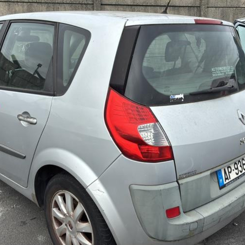 Baguette de porte arriere droite RENAULT SCENIC 2 Photo n°8