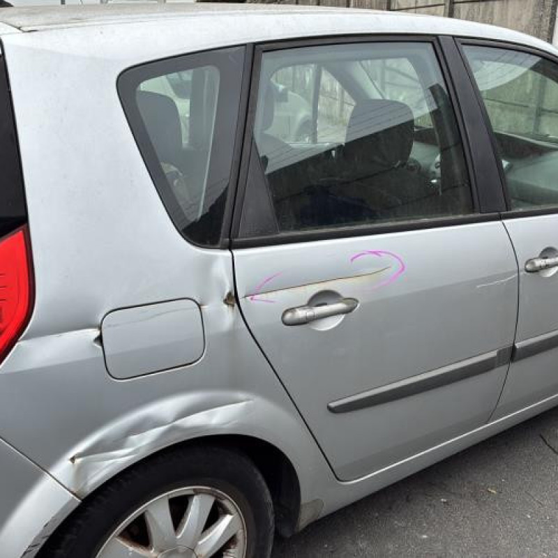 Baguette de porte arriere droite RENAULT SCENIC 2 Photo n°10