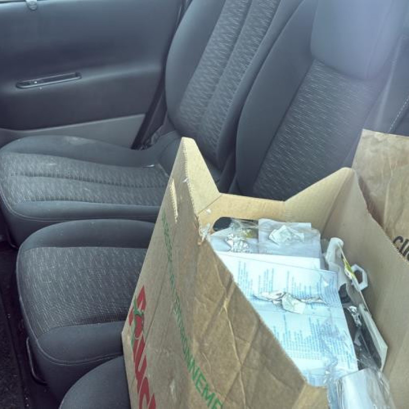 Baguette de porte arriere droite RENAULT SCENIC 2 Photo n°19