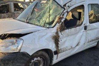 Baguette de porte avant droite PEUGEOT PARTNER 1