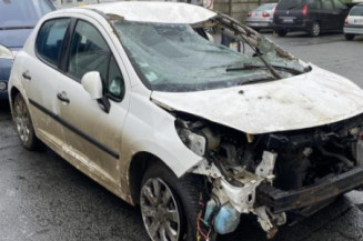 Baguette de porte avant droite PEUGEOT 207