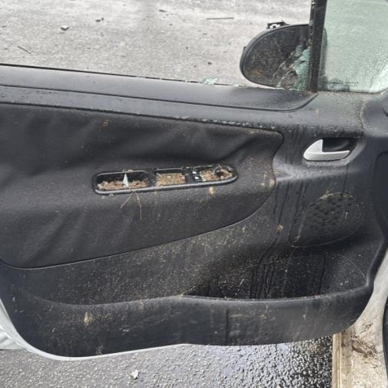 Baguette de porte avant droite PEUGEOT 207 Photo n°15