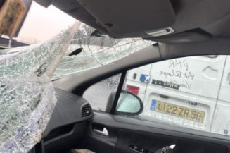 Baguette de porte avant droite PEUGEOT 207