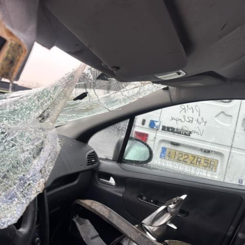 Baguette de porte avant droite PEUGEOT 207 Photo n°18