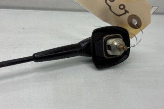 Antenne RENAULT KANGOO 1