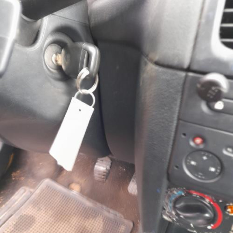 Baguette de porte avant gauche RENAULT CLIO 2 Photo n°15