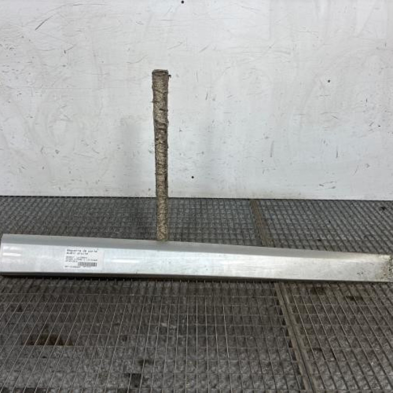 Baguette de porte avant droite RENAULT MEGANE 3 Photo n°1