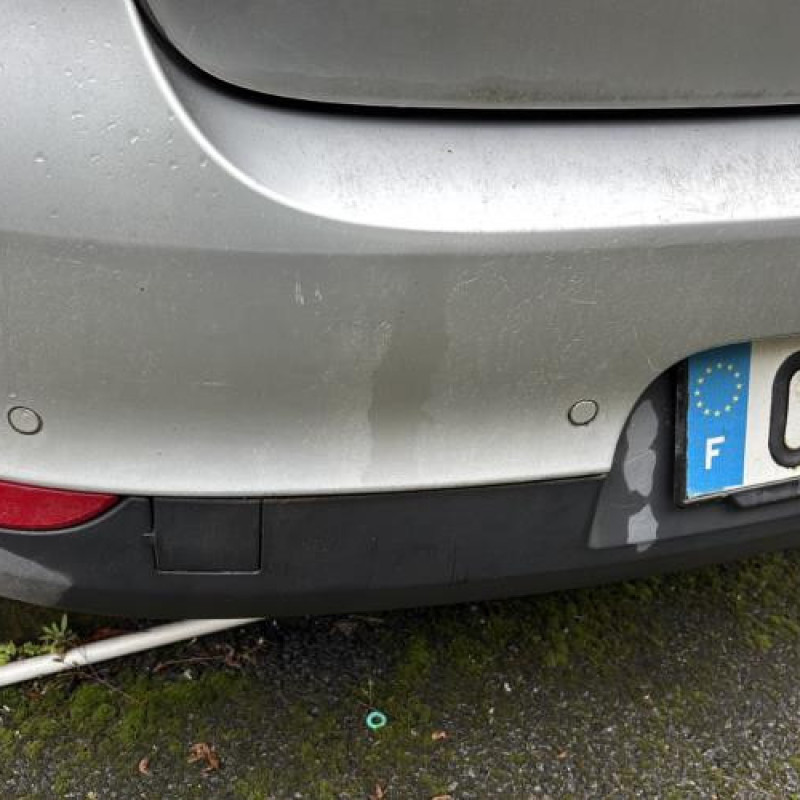 Baguette de porte avant droite RENAULT MEGANE 3 Photo n°8