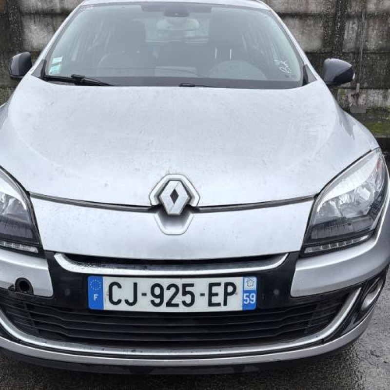 Baguette de porte avant droite RENAULT MEGANE 3 Photo n°11