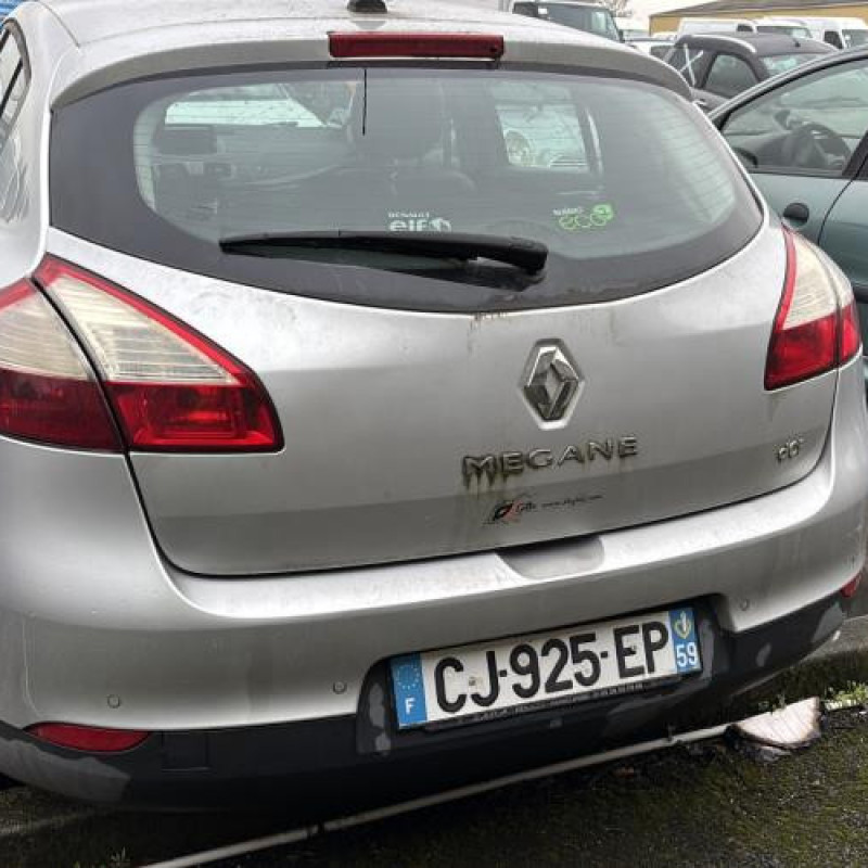 Vitre avant droit RENAULT MEGANE 3 Photo n°7