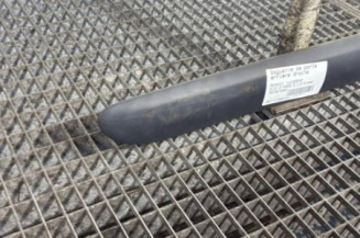 Baguette de porte arriere droite RENAULT CLIO 2