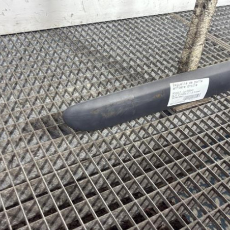 Baguette de porte arriere droite RENAULT CLIO 2